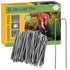 BLOSTM GARDEN PEGS - PACK OF 100