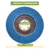 BLOSTM FLAP DISCS - PACK OF 10