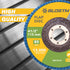 BLOSTM FLAP DISCS - PACK OF 10