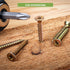 BLOSTM ASSORTED CHIPBOARD SCREWS