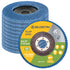 BLOSTM FLAP DISCS - PACK OF 10