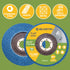 BLOSTM FLAP DISCS - PACK OF 10