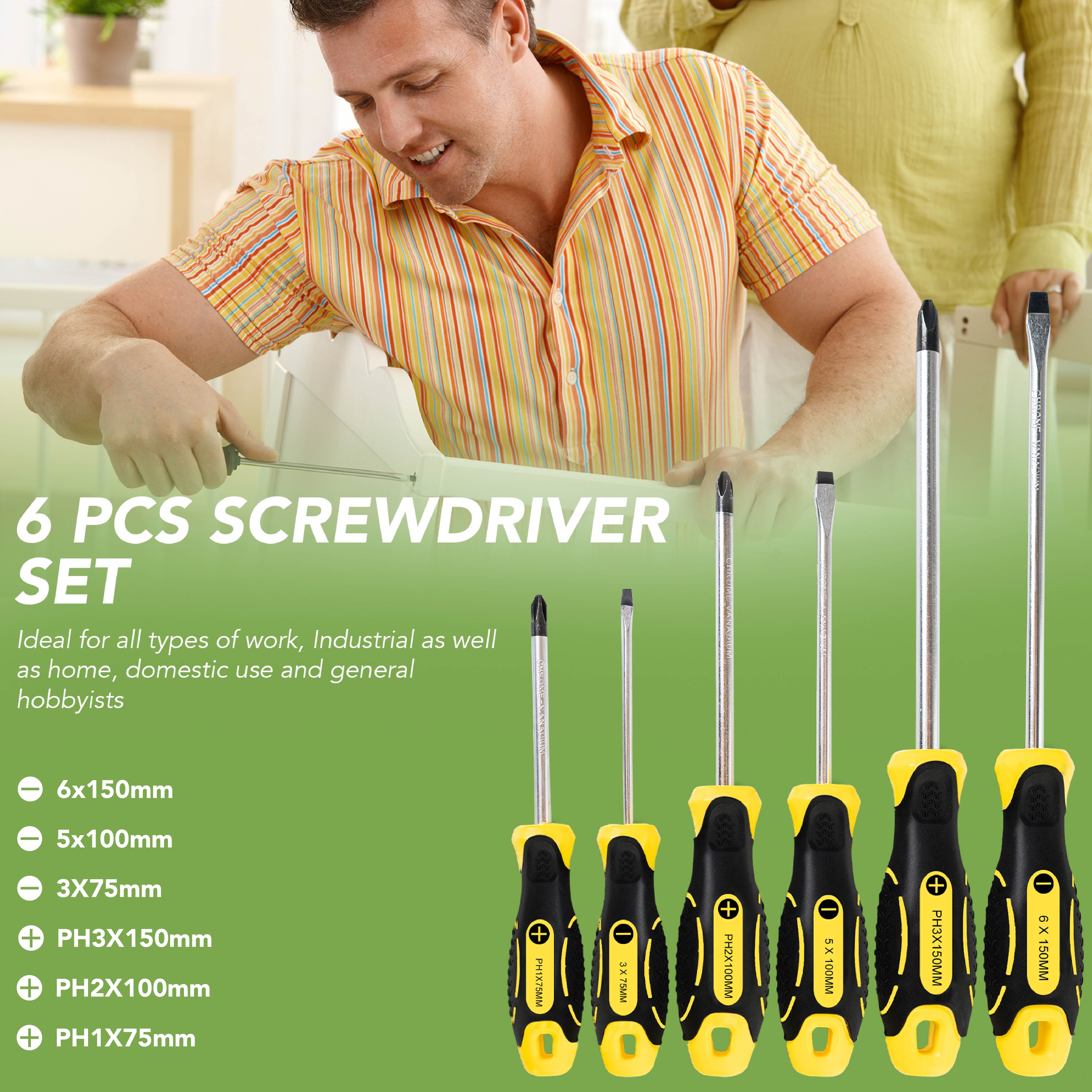 BLOSTM SCREWDRIVER SET - 6 PIECES