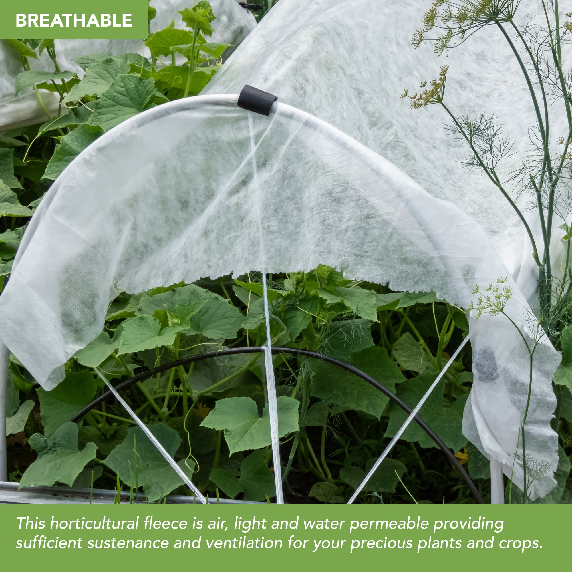 BLOSTM GARDEN FLEECE 30GSM 2 X 10M