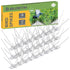 BLOSTM BIRD SPIKES