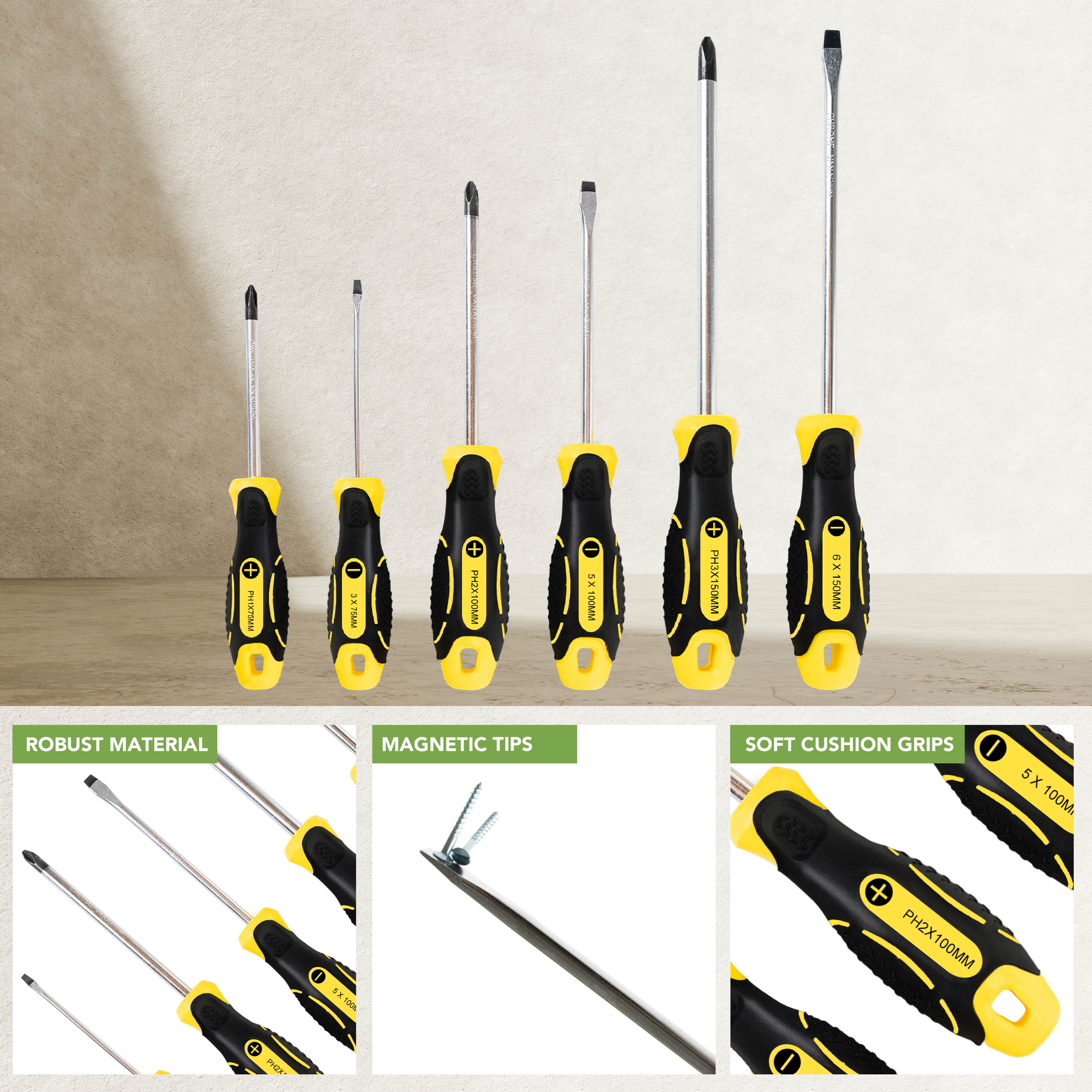 BLOSTM SCREWDRIVER SET - 6 PIECES