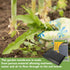 BLOSTM WOVEN WEED CONTROL FABRIC SHEET - 2M X 10M