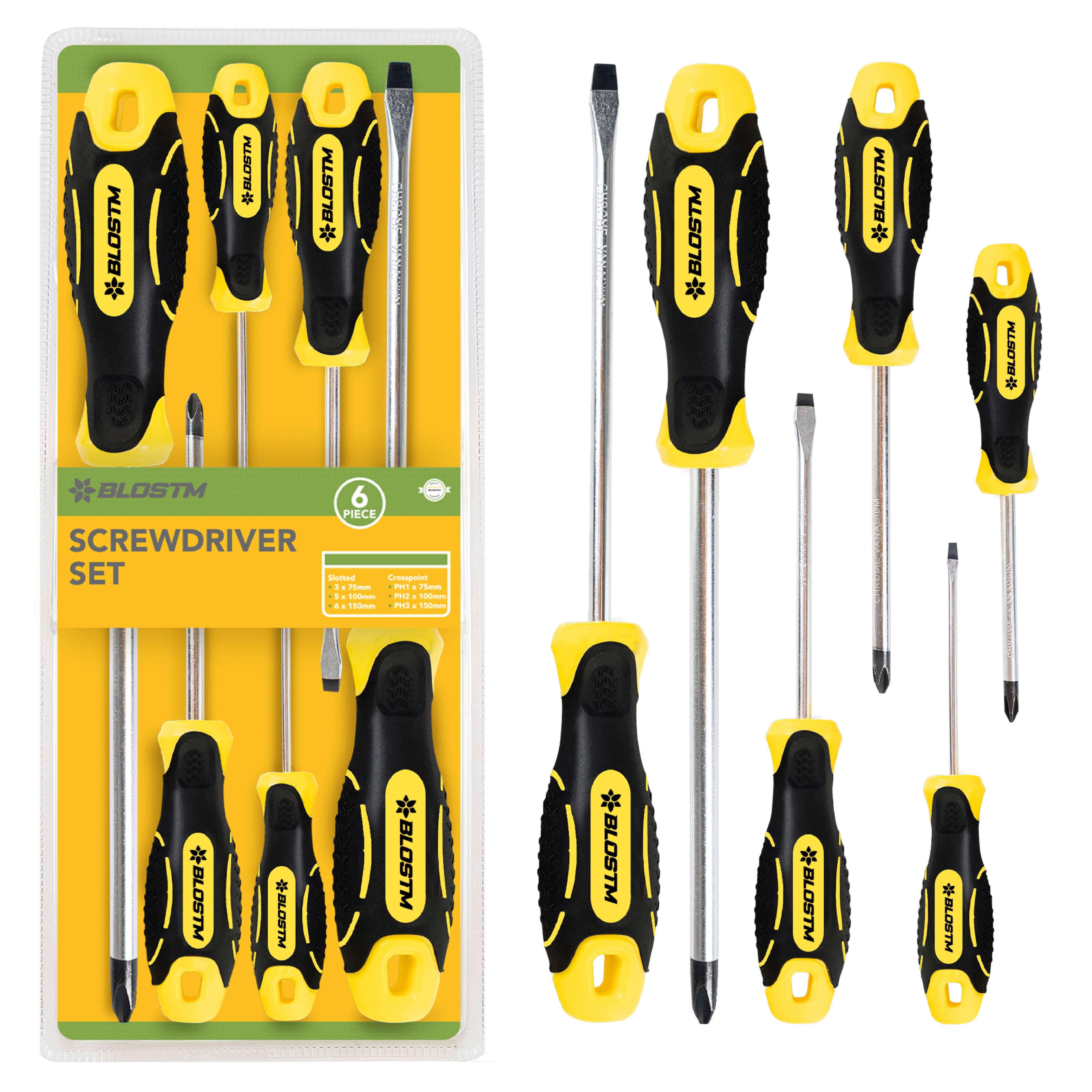 BLOSTM SCREWDRIVER SET - 6 PIECES